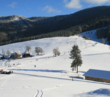 Wintersport in Horben